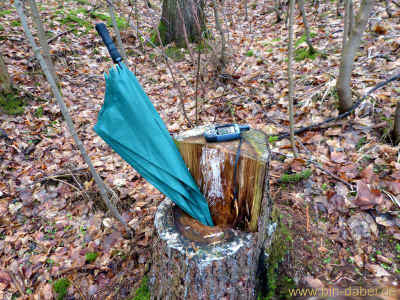 Schoenauerrunde 10-01-2013 P1050173.jpg (99603 Byte)