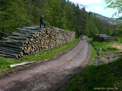 Berg- und Talfahrt 11-05-2013 P1050699.jpg (97753 Byte)