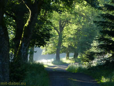 wanderung zum haderholzstein 15-06-2014 P1070694.jpg (99389 Byte)
