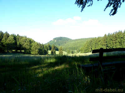 wanderung zum haderholzstein 15-06-2014 P1070715.jpg (238301 Byte)