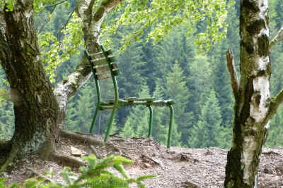 P1090748 - 22Juli2015.jpg (99313 Byte)