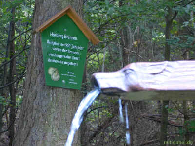 P1100098 27-September-2015.jpg (99093 Byte)