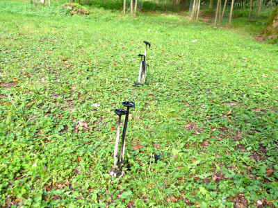 P1100131 27-September-2015.jpg (99626 Byte)