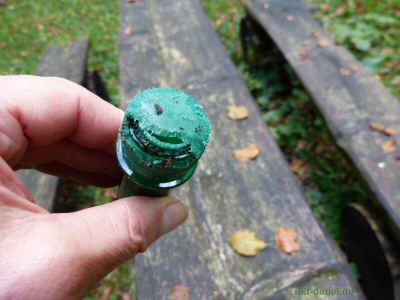 P1100139 27-September-2015.jpg (96041 Byte)