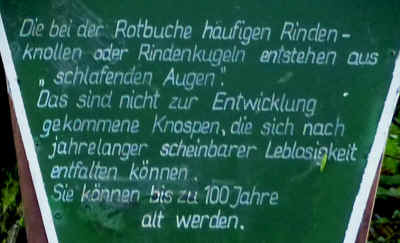 P1100150-a 27-September-2015.jpg (56616 Byte)