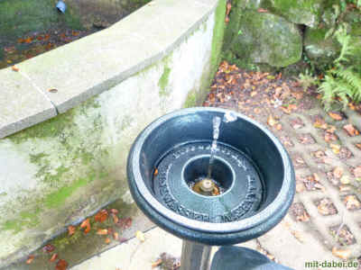 P1100163 27-September-2015.jpg (97269 Byte)