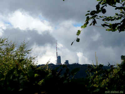 P1100179 27-September-2015.jpg (97205 Byte)