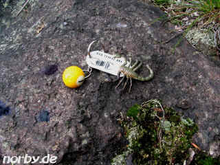 bajatzzo1 (215732 Byte)