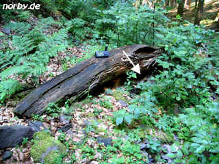 kaltedusche16-7-06-1-49-xl.jpg (232399 Byte)