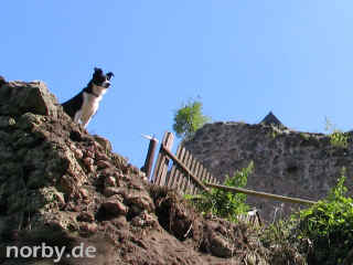 tannenburg-10-08-06-38-xl.jpg (112285 Byte)