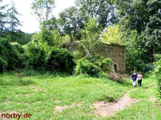 tannenburg-10-08-06-xl.jpg (269285 Byte)