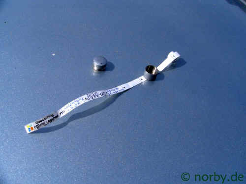 fisch-21-04.07-152-xl.jpg (91341 Byte)