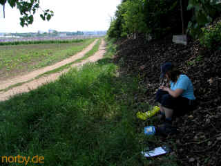 confluence17-6-06-13-xl.jpg (160555 Byte)