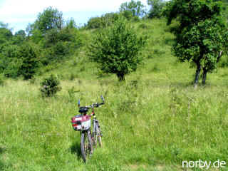 laz-25-6-06-45.jpg (75688 Byte)