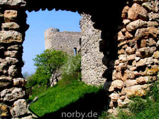 brandenburg4-xl.jpg (183551 Byte)