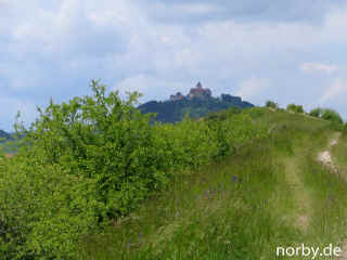 riesenloeffel-28-5-06-1-20-xl.jpg (137794 Byte)