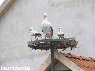 grammuehle-14-10-06-84-xl.jpg (79590 Byte)