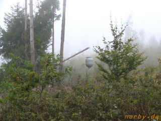 Bei den nickenden Fichten (133067 Byte)