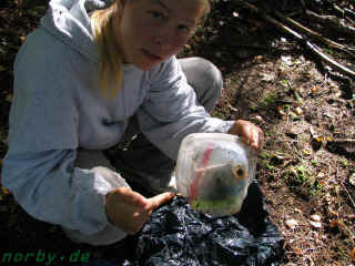 Rother-Kuppe  (153690 Byte)