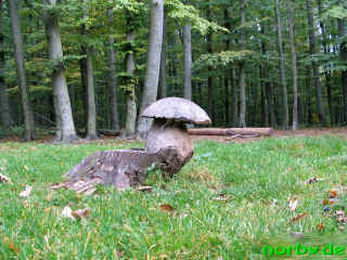 saengerwiese_21-10-06_16-xl.jpg (207394 Byte)