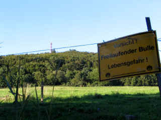 alte-mark-09-09-06-61-xl.jpg (102391 Byte)