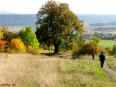 Gerichtslinde 04-10-08