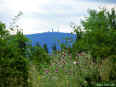 Krahnberg-tour 03-08-08